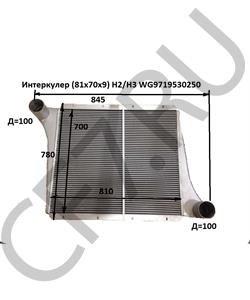 WG9719530250 Интеркулер H2/H3 HOWO в городе Москва