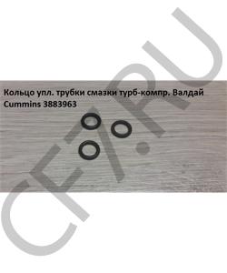 3883963 Кольцо упл. трубки смазки турб-компр. Валдай Cummins CUMMINS FOTON в городе Москва