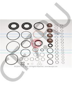 T19433 TAS Комплект уплотнений, ZF в городе Королёв