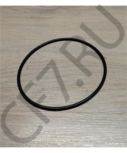 3940386 DieselWagner Кольцо водяного насоса (6CT, ISLe,2.8) в городе Королёв