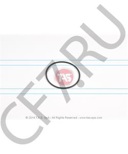 T21994 TAS Кольцо уплотнительное 67X3, ZF в городе Королёв