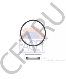 14459580 Fiat/Alfa Romeo/Lancia УПЛОТНИТЕЛЬНОЕ КОЛЬЦО 2,26X52.05 [ORG в городе Королёв