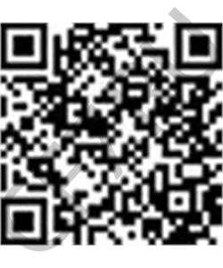 1.051.0010.01 SAF Палец ушка рессоры в городе Королёв