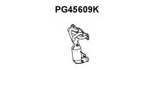 PSA ВЫПУСКН КОЛЛЕКТ PSA 484 (ORG)