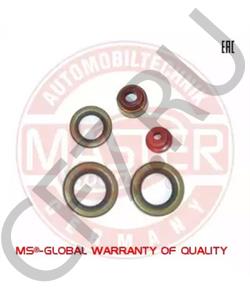 245.2303080 MOSKVICH Уплотняющее кольцо, коленчатый вал в городе Королёв