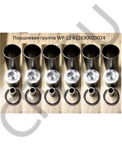 612630020024 FOTON Поршневая группа WP 12 (BoHai Piston) в городе Королёв