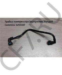 5255187 BFCEC Трубка компрессора воздушного (ISF3.8) охлаждающей жидкости, отводящая {ПАЗ,НЕФАЗ,Foton,Iveco} для компрессора 4932265, "Оригинал в городе Королёв