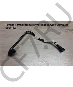 5255186 Cummins China Трубка компрессора вод.впускная Cummins ISF 2.8\3,8 в городе Королёв