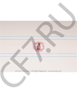 T08949 TAS Сухарь синхронизатора, делитель, ZF в городе Королёв