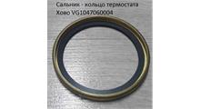 CNHTC Кольцо уплотнительное термостата CNHTC ОРИГИНАЛ VG1047060004