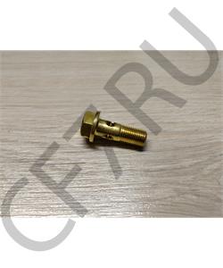 612630040117 SHAANXI Болт М10*1,0* 30 пустотелый WP12 (штуцер топливный) H в городе Королёв