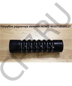 WG9719530227 GOLDEN ASIA Патрубок радиатора резинотканевый (нижний, прямой, L255) HOWO в городе Королёв