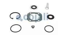 Renault Ремкомплект, усилитель привода сцепления