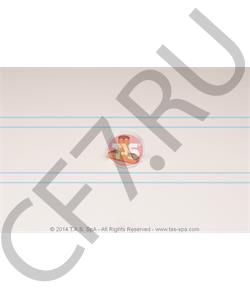 T17901 TAS Ползун вилки КПП 14мм, ZF в городе Королёв