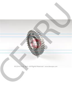 T22231 TAS Шестерня в городе Королёв